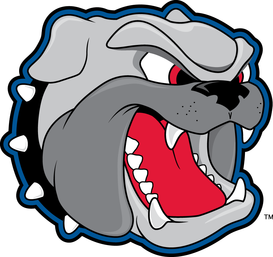 North Carolina Asheville Bulldogs 1998-Pres Secondary Logo iron on transfers for T-shirts